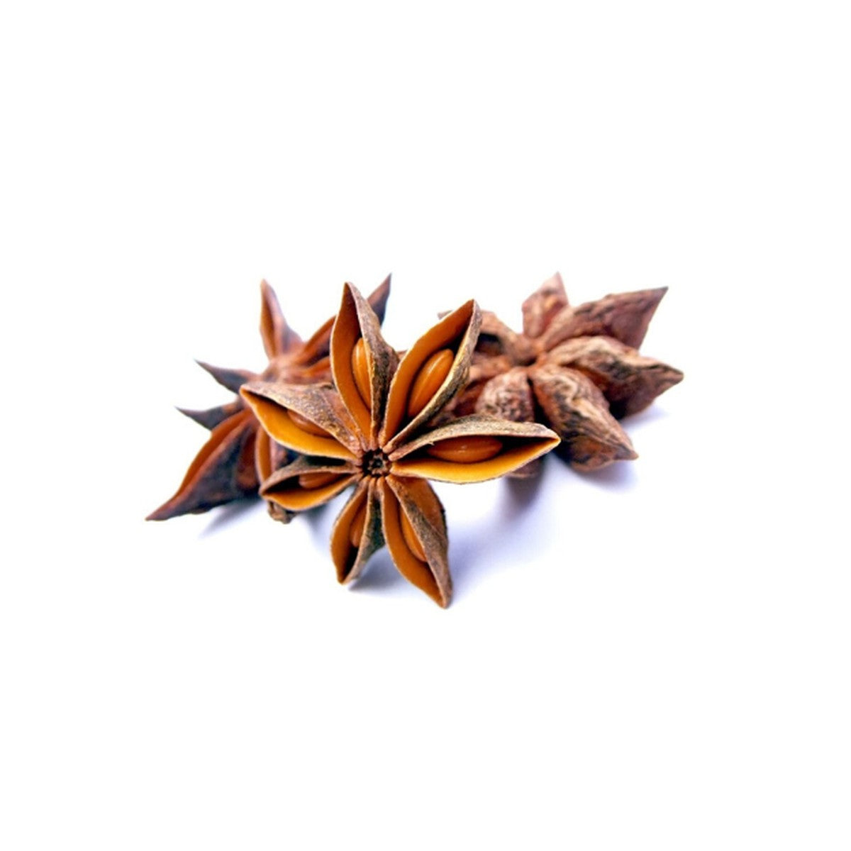 Maharajah's Choice Aniseed Star